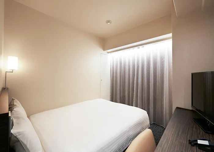 Sotetsu Fresa Inn Ochanomizu Jimbocho