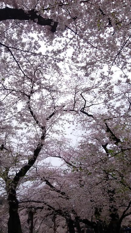 Sotetsu Fresa Ochanomizu Jimbocho Präfektur Tokio