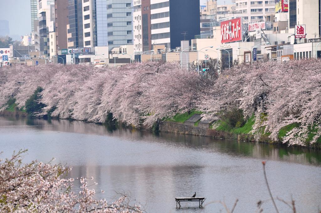 Sotetsu Fresa Ochanomizu Jimbocho 3* Präfektur Tokio